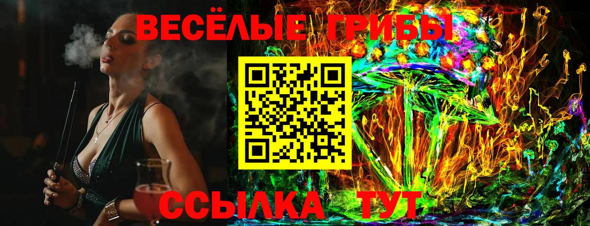 Златоуст  Псилоцибиновые грибы ЛСД  Вход с VPN 